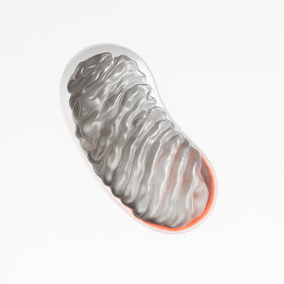 Day 02