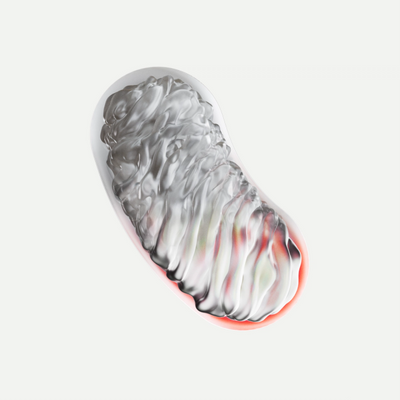 Day 02
